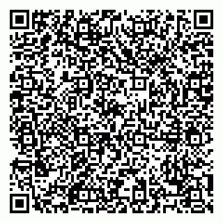 vCard 79028500355