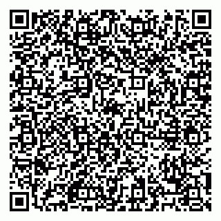 vCard 79028500380