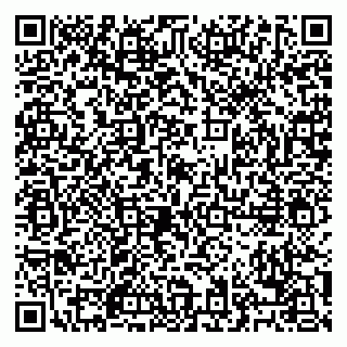 vCard 79028500381