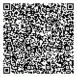 vCard 79028500387