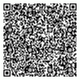 vCard 79028500389
