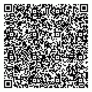 vCard 79028500393