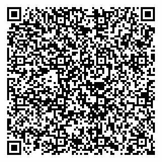 vCard 79028500403