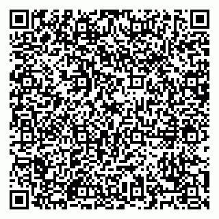 vCard 79028500413