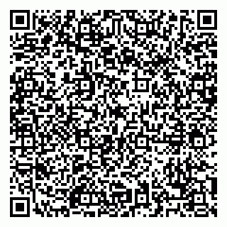 vCard 79028500417