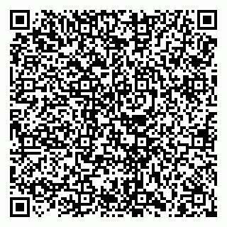 vCard 79028500418