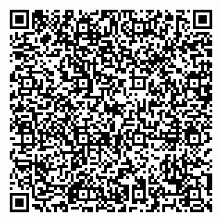 vCard 79028500419
