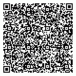 vCard 79028500433