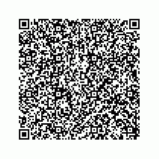 vCard 79028533771