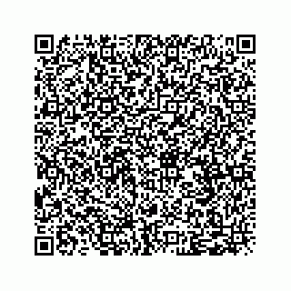 vCard 79028533781