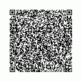 vCard 79028533825
