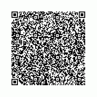 vCard 79028533849
