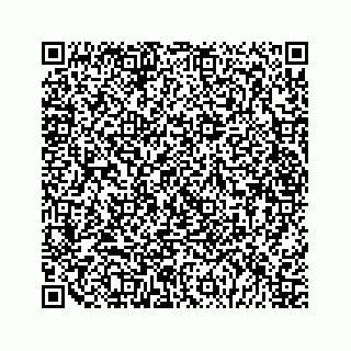 vCard 79028533851