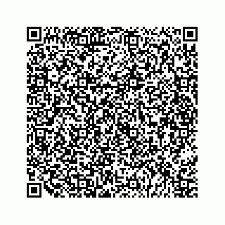 vCard 79028533870