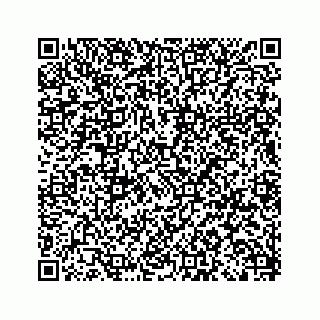 vCard 79028533873