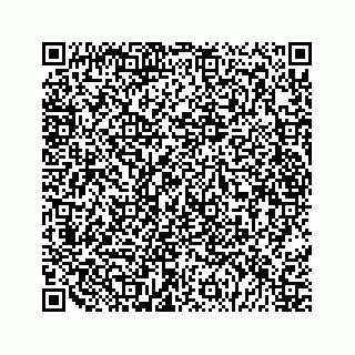 vCard 79028533874