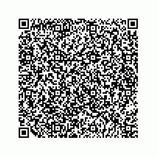 vCard 79028533892