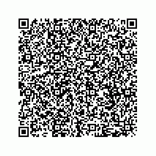 vCard 79028533908