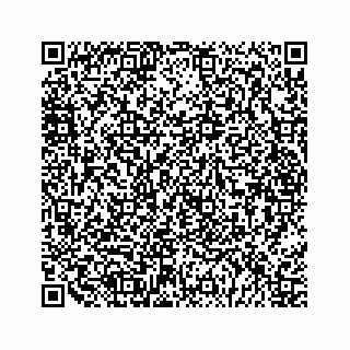 vCard 79028533909
