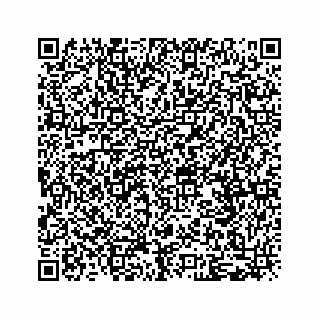 vCard 79028533913