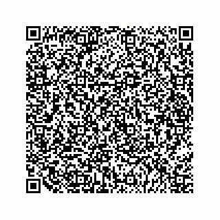 vCard 79028533919