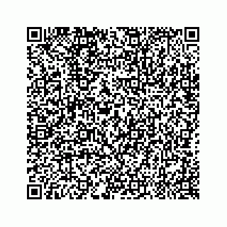 vCard 79028533929