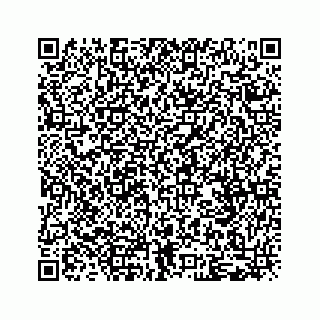 vCard 79028533978