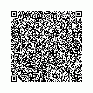 vCard 79028533985