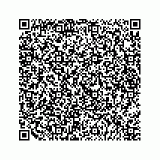 vCard 79028533987