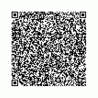 vCard 79028534002