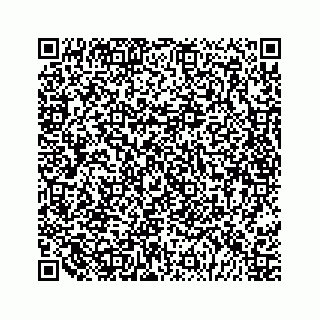 vCard 79028534003