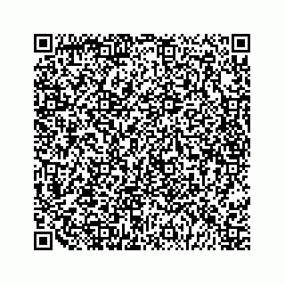 vCard 79028534005