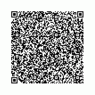 vCard 79028543687
