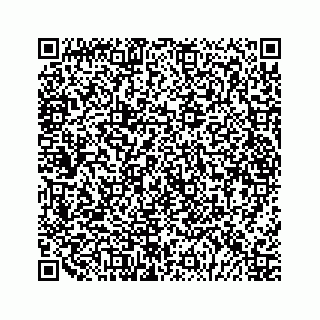 vCard 79028543733