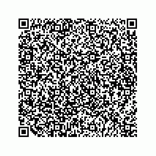 vCard 79028543973