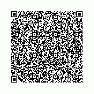 vCard 79028543987