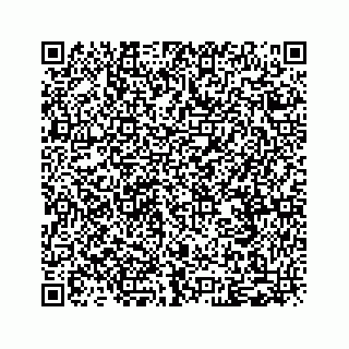 vCard 79028593373
