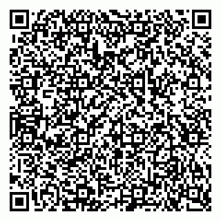 vCard 79028640370