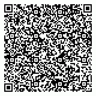 vCard 79028640384
