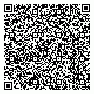 vCard 79028640387