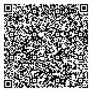 vCard 79028652003