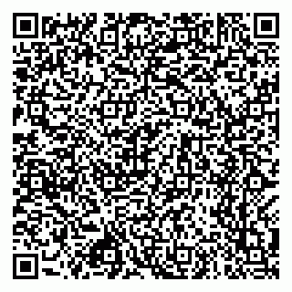 vCard 79028681300