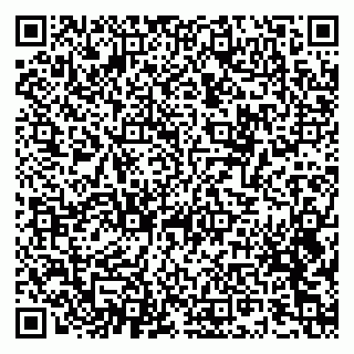 vCard 79028681339