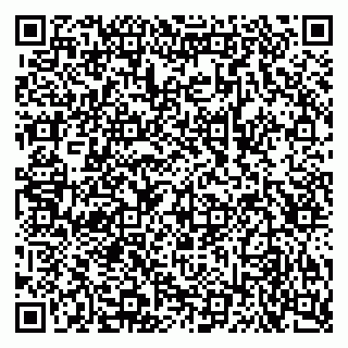 vCard 79028681369