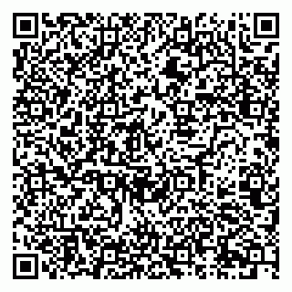 vCard 79028967295