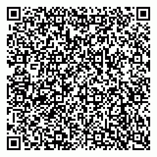 vCard 79028967333