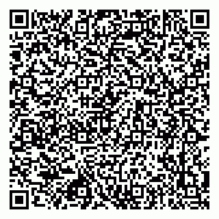 vCard 79028967381