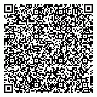 vCard 79029350157