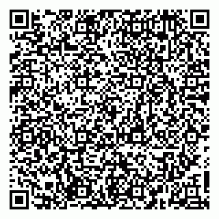 vCard 79029350399