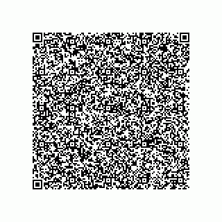 vCard 79029759331